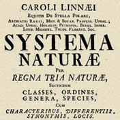 Carl Linnaeus systematizes the classification of living organisms, introducing ideas like binomial naming.