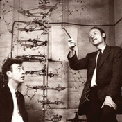 James Watson and Francis Crick discover that DNA contains a digital genetic code.